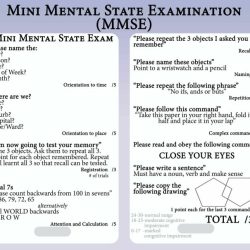 Mini mental status examination ppt