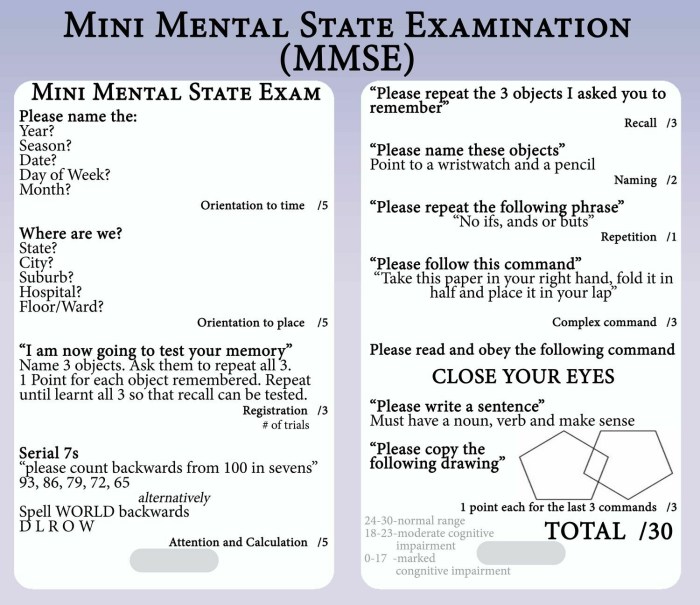 Mini mental status examination ppt