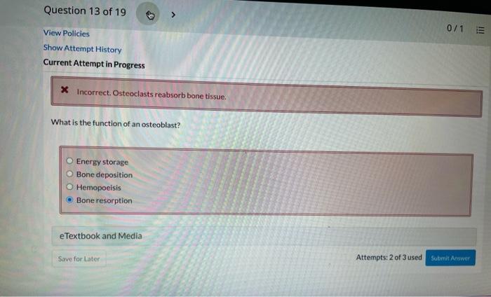 Case study #4 bone breakdown answers