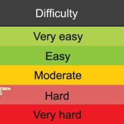 Class d practice test mississippi