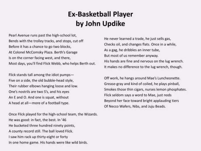 Ex-basketball player by john updike