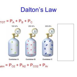 Dalton's law of partial pressure worksheet