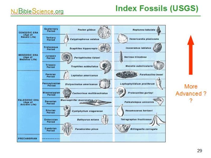 Using index fossils lab answer key