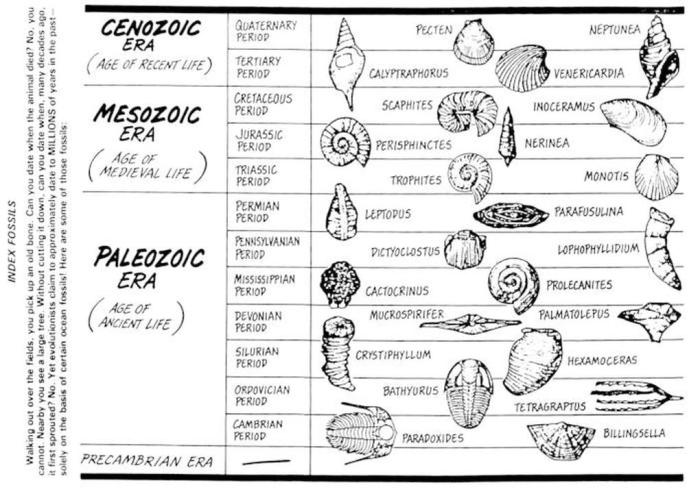 Using index fossils lab answer key